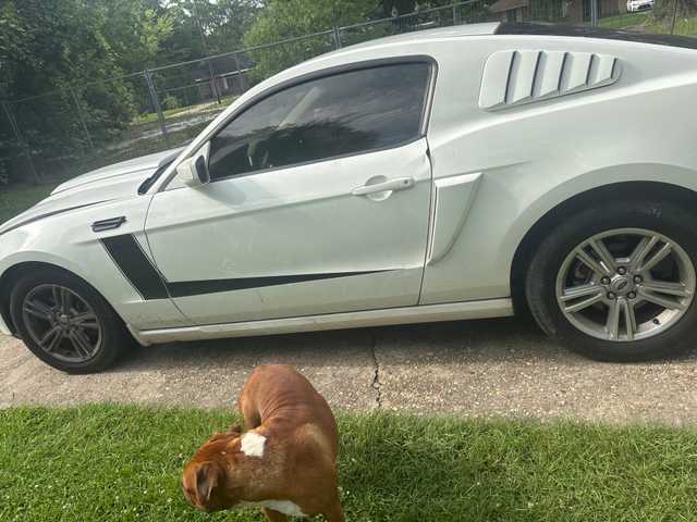 2011 Ford Mustang HO Coupe for sale