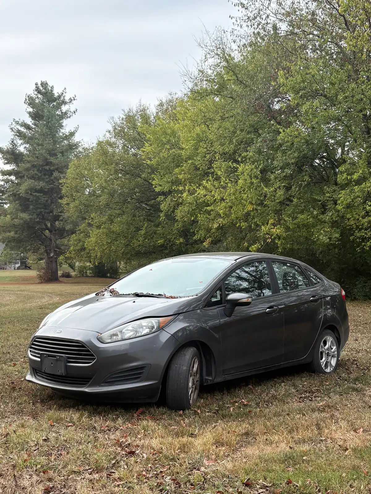 2016 Ford Fiesta photo 1